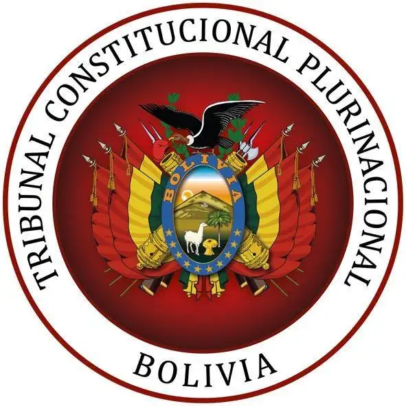 Tribunal Constitucional Plurinacional